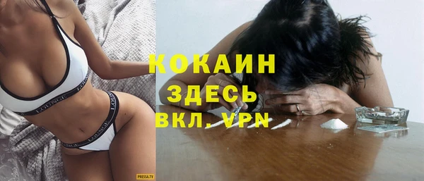 шишки Тихвин