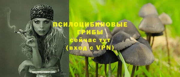 индика Новосибирск