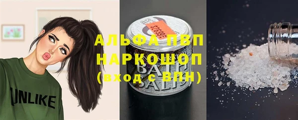 гашик Новозыбков