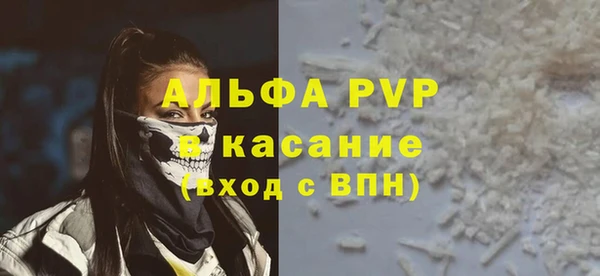гашик Новозыбков