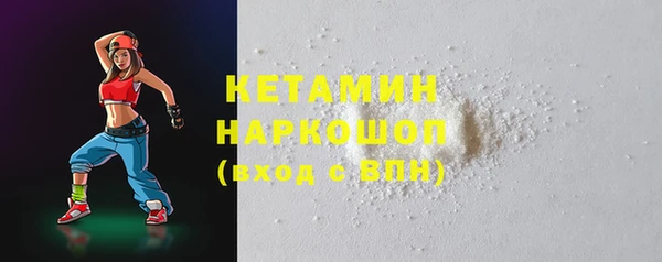 гашик Новозыбков