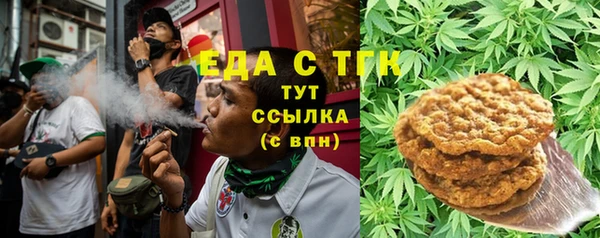 гашик Новозыбков