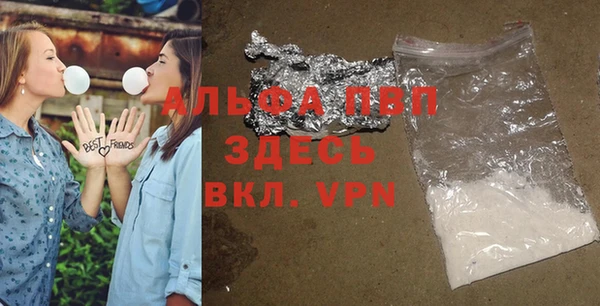 гашик Новозыбков