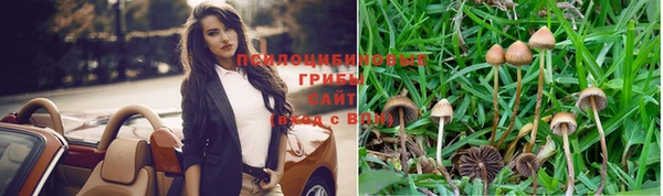 mix Тобольск