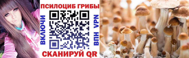 Галлюциногенные грибы GOLDEN TEACHER купить закладку Абаза